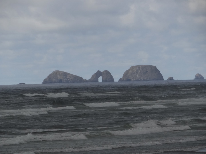 Reflections From the Fence Oceanside and Cape Lookout State Park